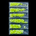 Cristaux Fluo Jaune 6 Grosseurs